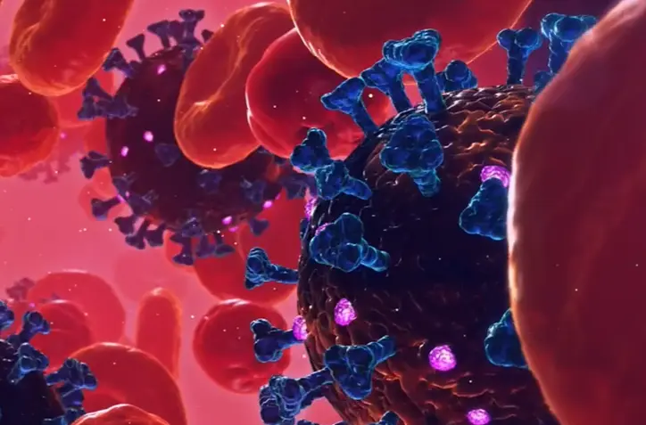 Capture d'écran 2025-04-24 114015