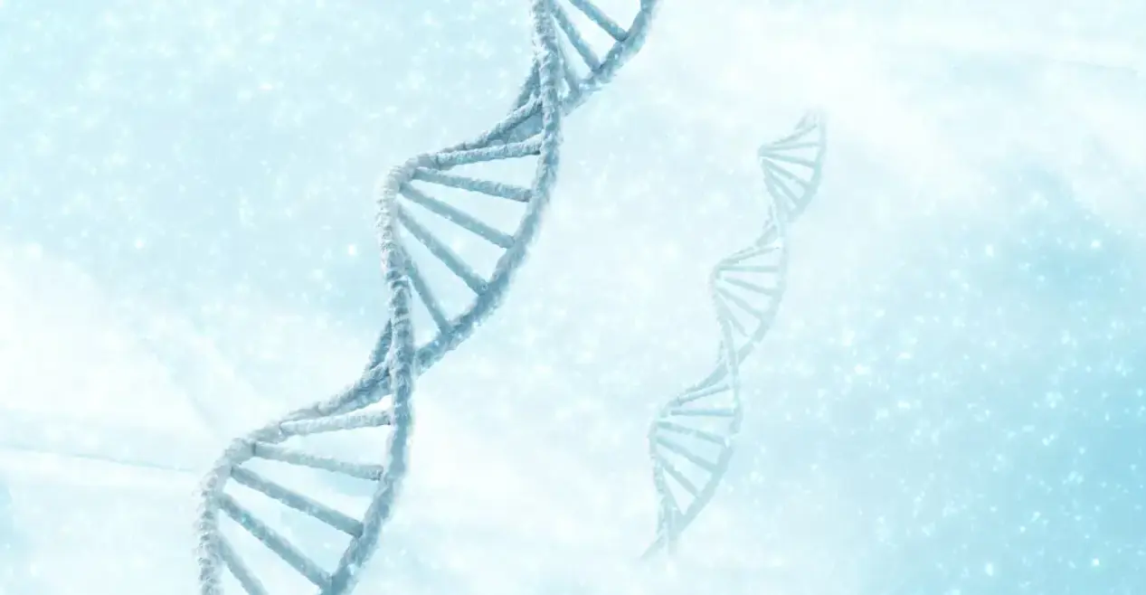 Capture d'écran 2026-01-08 102851