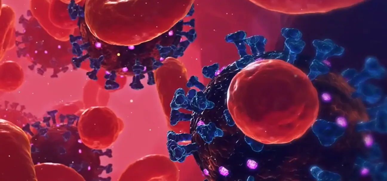 Capture d'écran 2026-01-08 104344