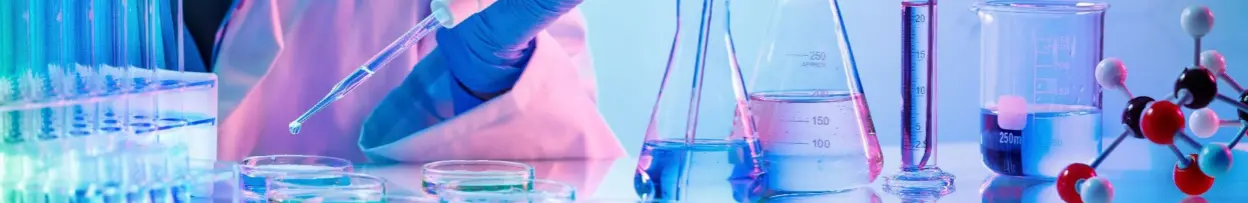 Capture d’écran 2026-02-25 153407