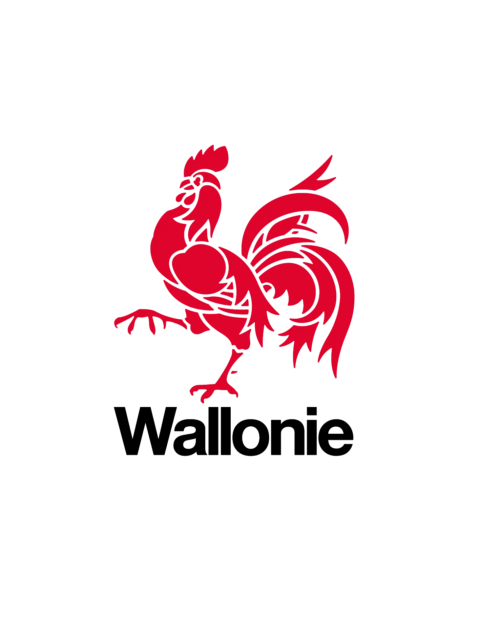 wallonie_v